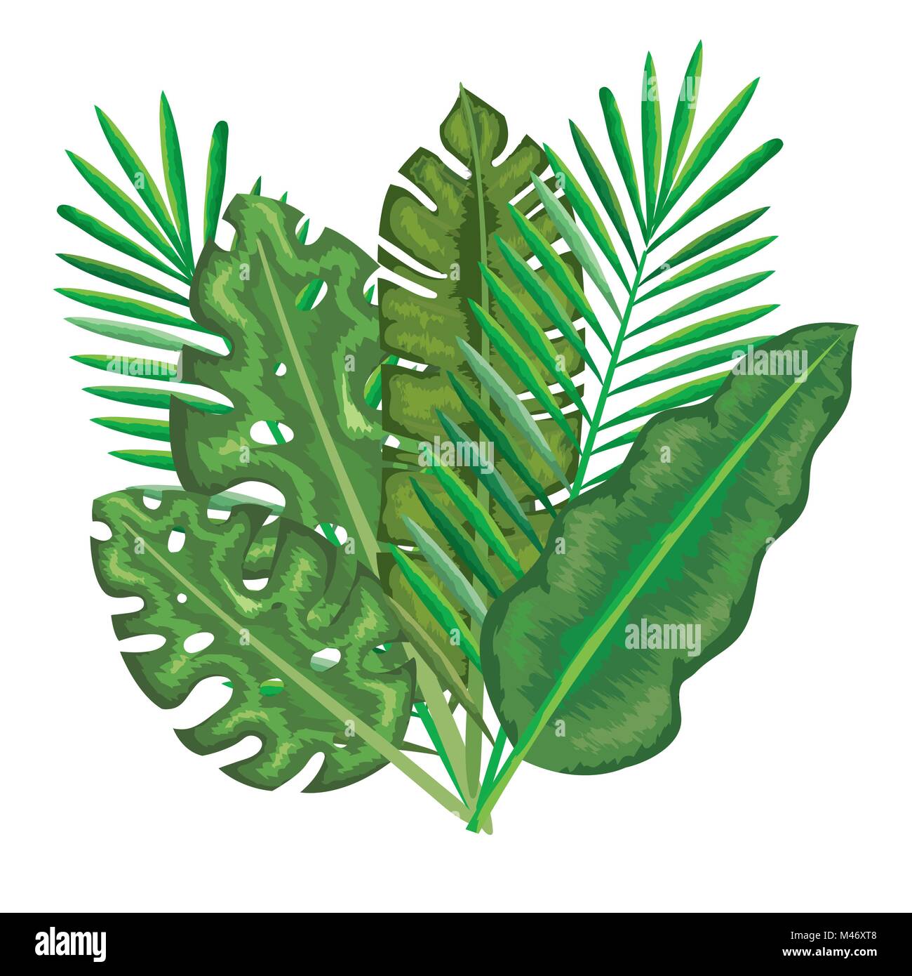 tropical and exotic palms leafs vector illustration design Stock Vector ...