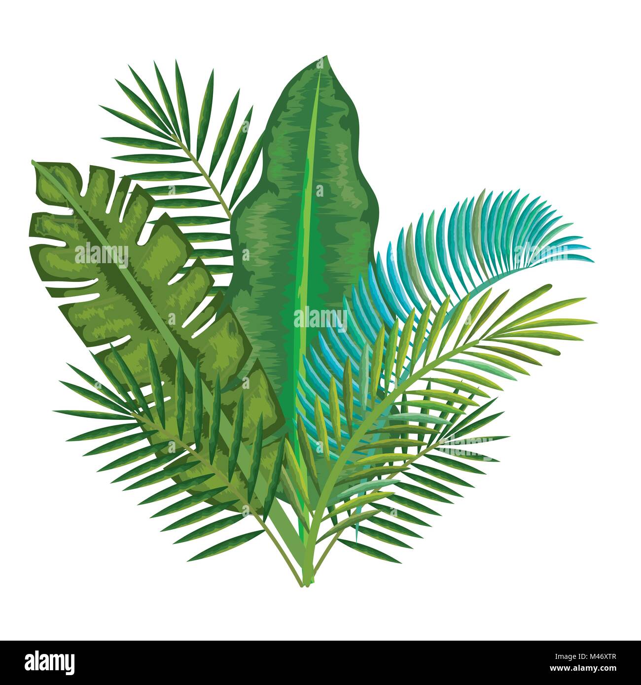 tropical and exotic palms leafs vector illustration design Stock Vector ...