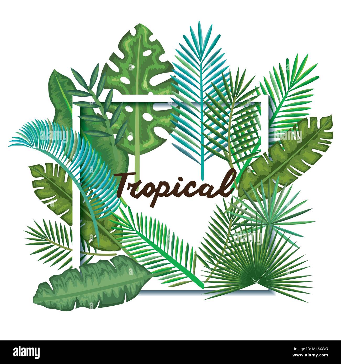 tropical and exotic palms leafs vector illustration design Stock Vector ...