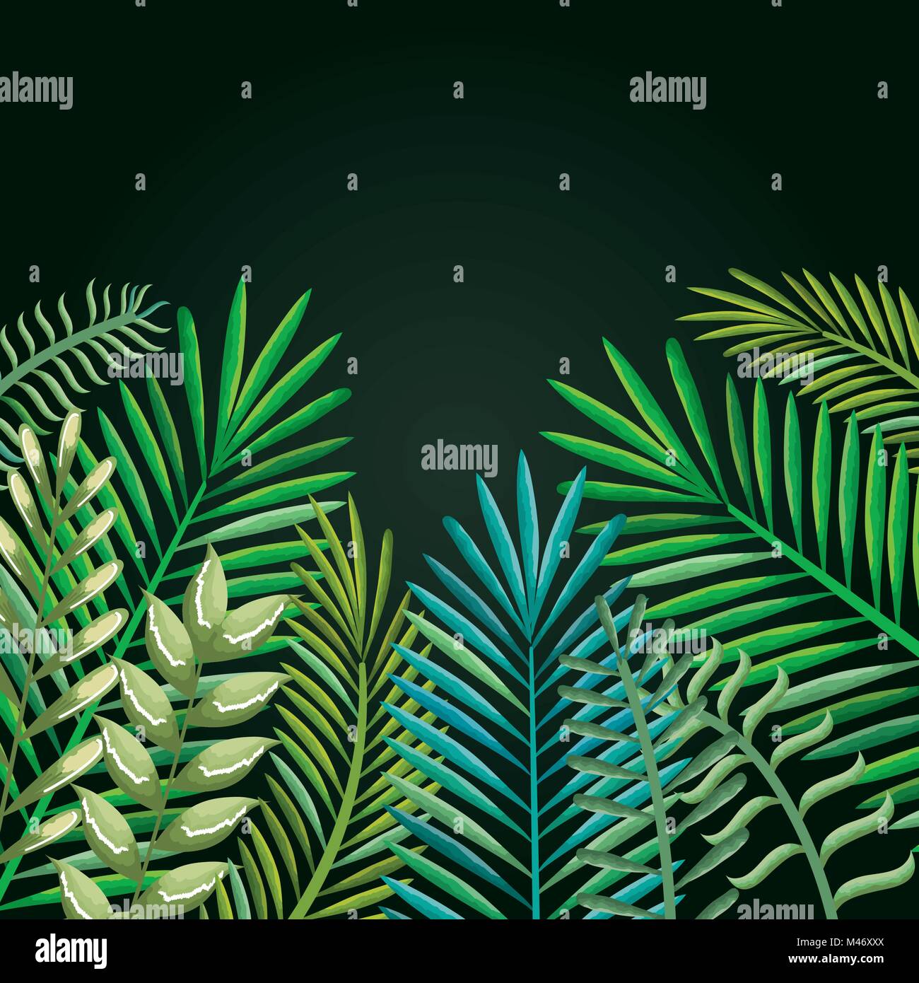 tropical and exotic palms leafs vector illustration design Stock Vector ...