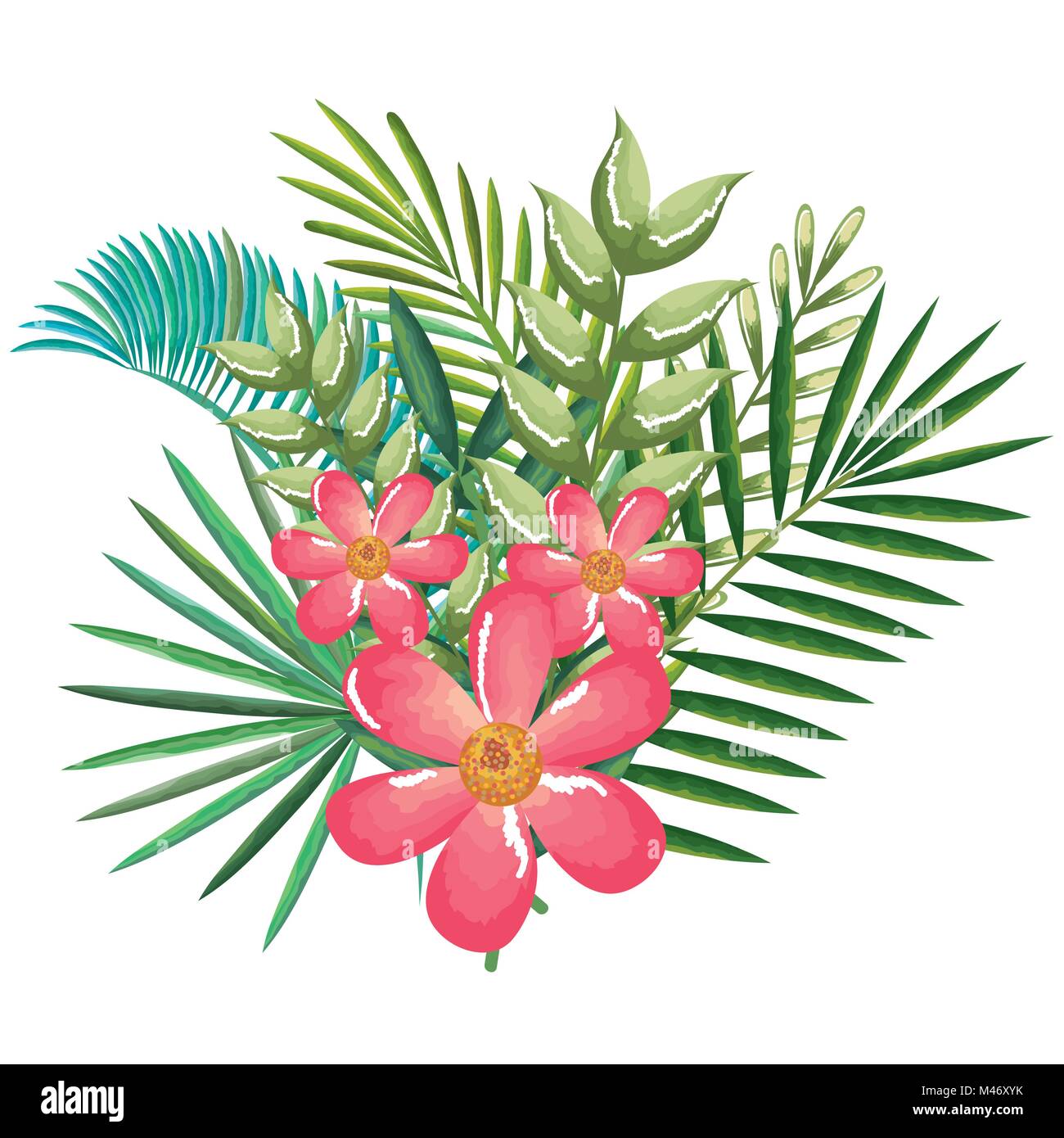 tropical and exotics flowers and leafs vector illustration design Stock ...