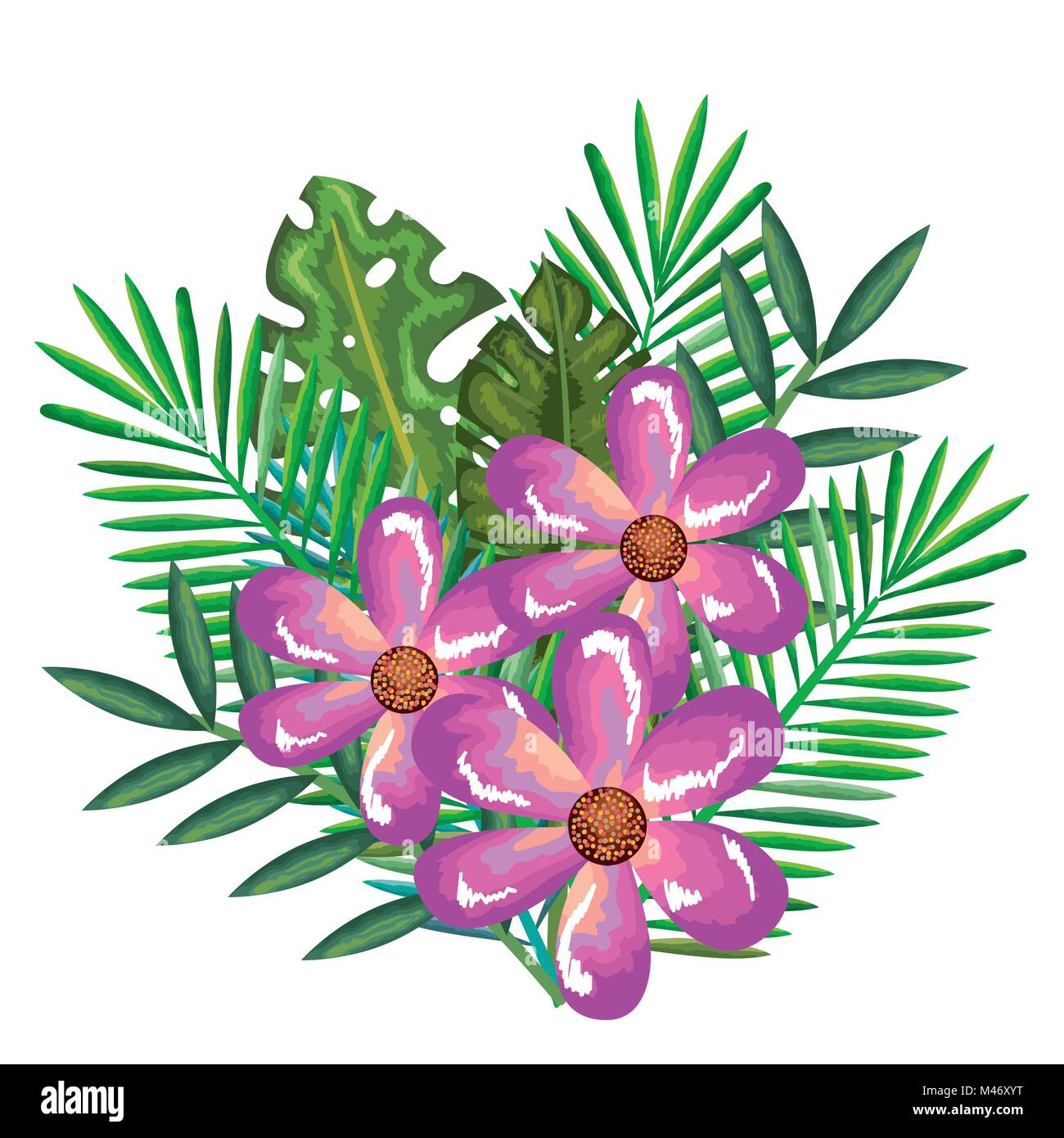 tropical and exotics flowers and leafs vector illustration design Stock ...