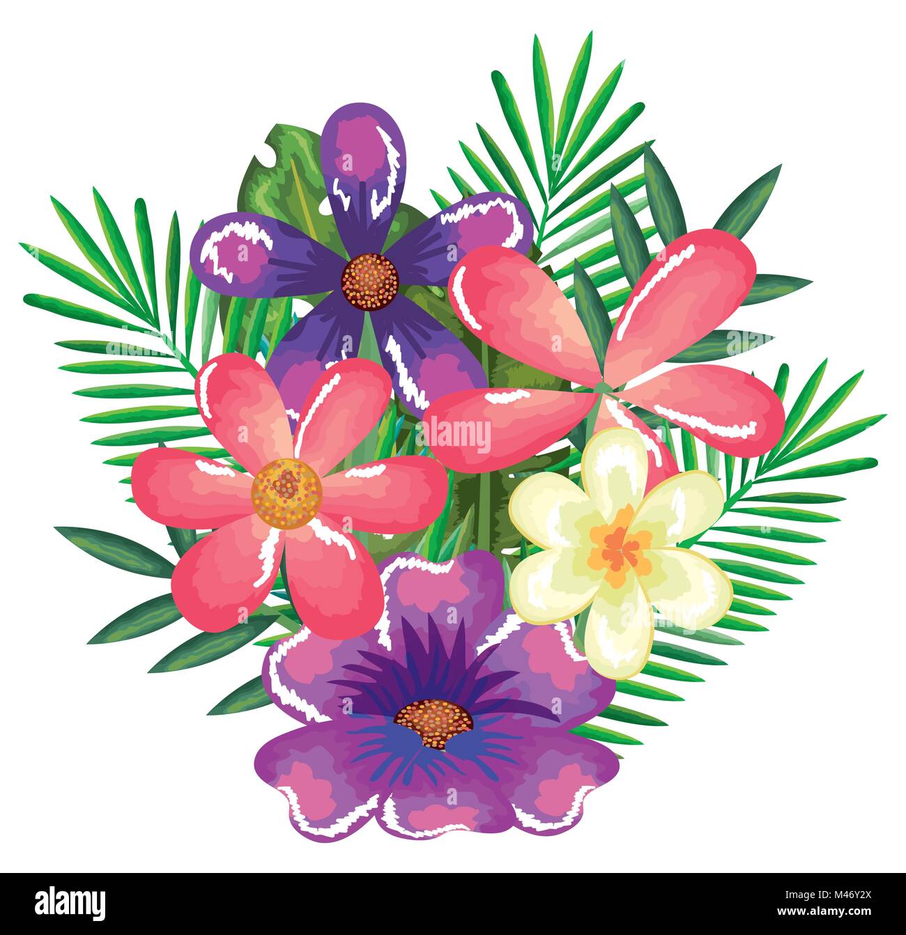 tropical and exotics flowers and leafs vector illustration design Stock ...