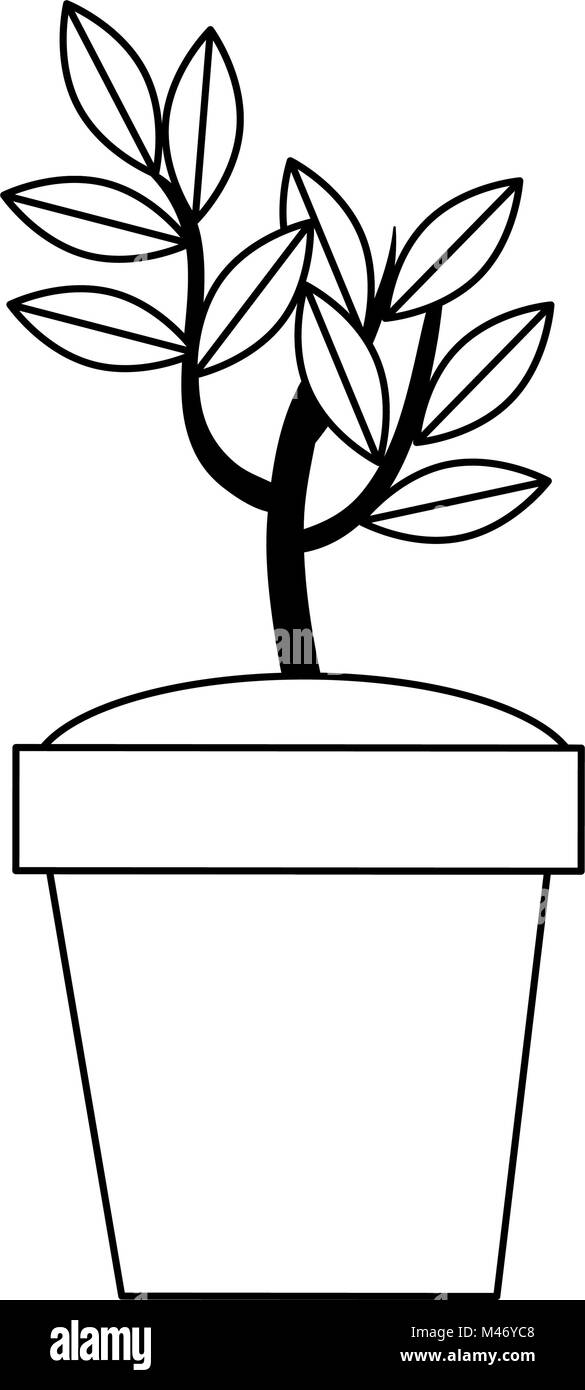 tree plant in pot vector illustration design Stock Vector Image & Art ...