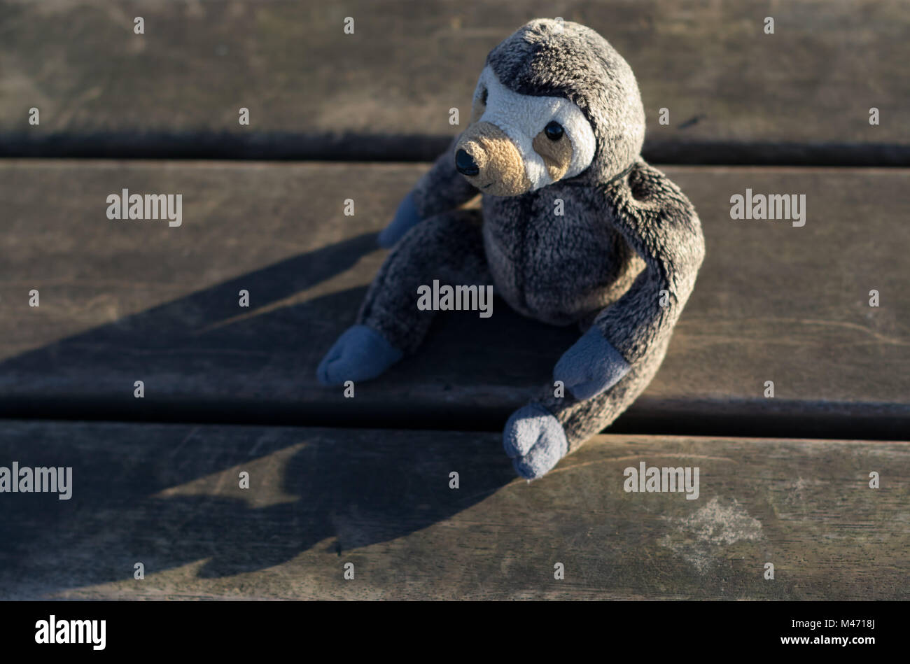 Stuffed Monkey Toy on Bench Stock Photo