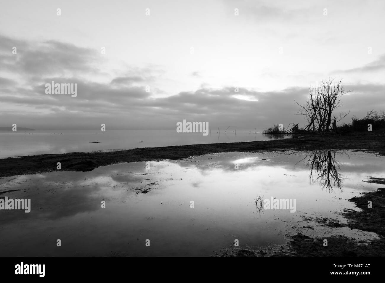 A lake shore at dawn, with beautiful tree and sky reflections on water Stock Photo