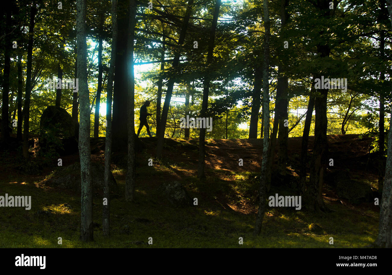 Lyons Falls, New York, USA. 24th Aug, 2015. A cyclist on tour takes a