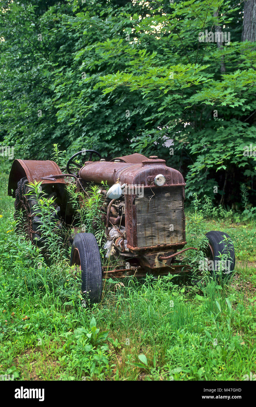 An old, rusted Fordson tractor sits abandoned in a field and is becoming overgrown with weeds. Stock Photo