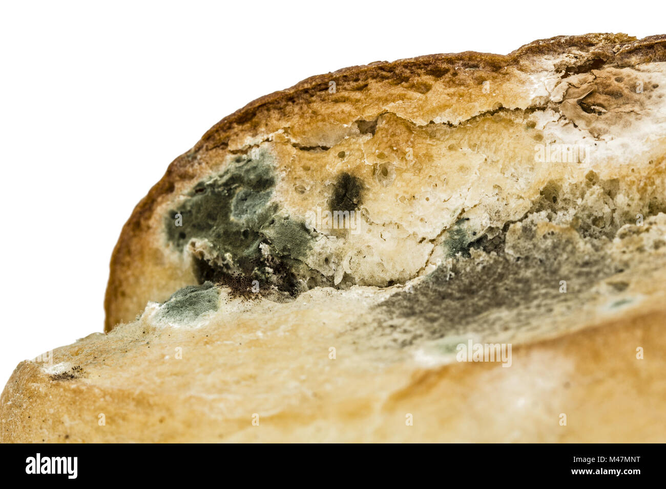 Moldy bread closeup, isolated on white background Stock Photo Alamy