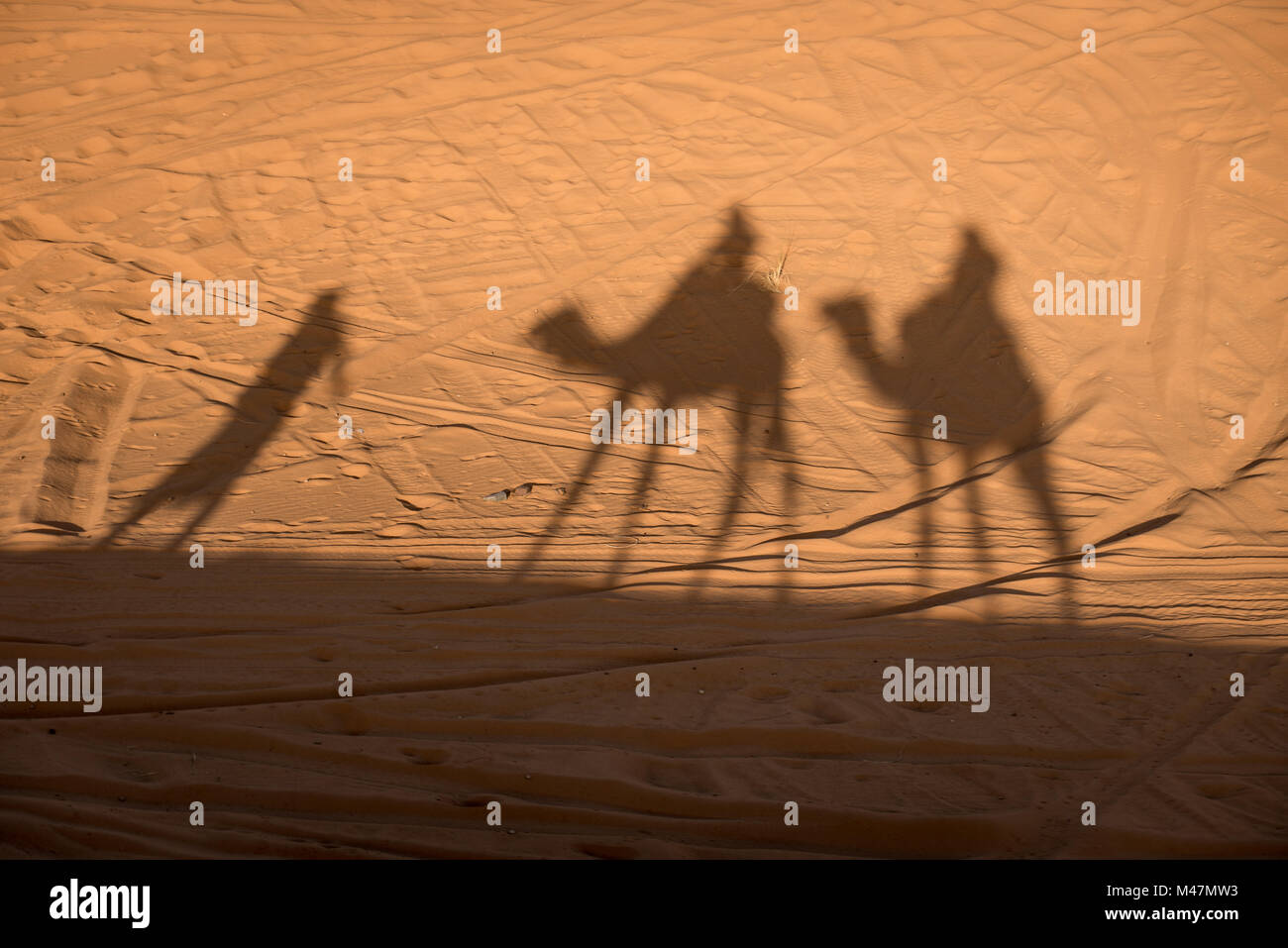 Camel shadows on Sahara Desert sand in Morocco. Stock Photo