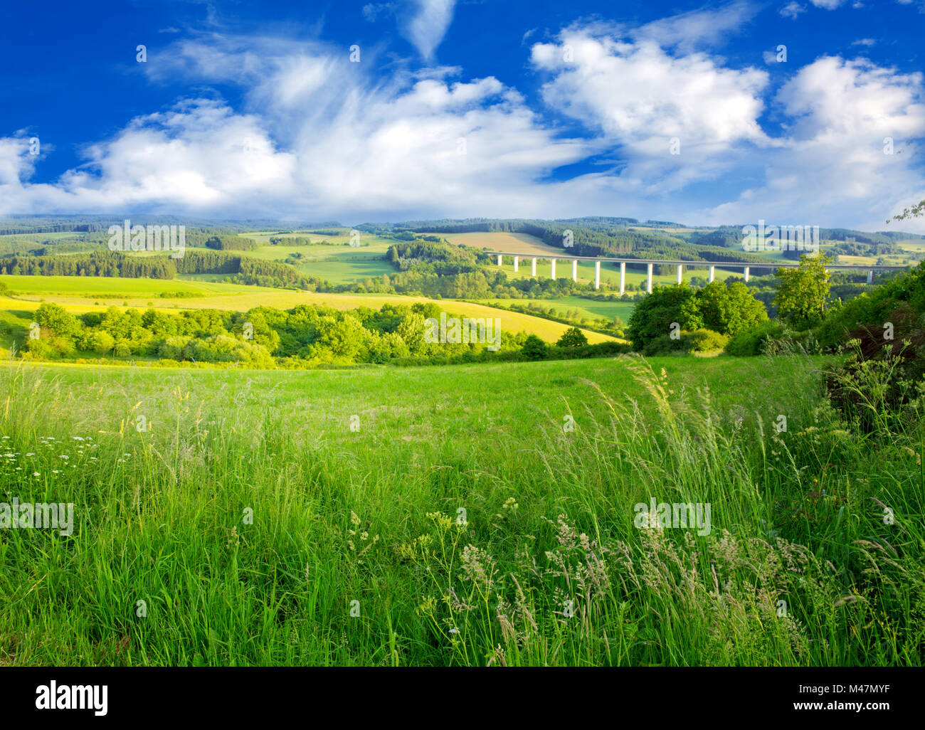 Summer landscape with green grass and clouds Stock Photo - Alamy