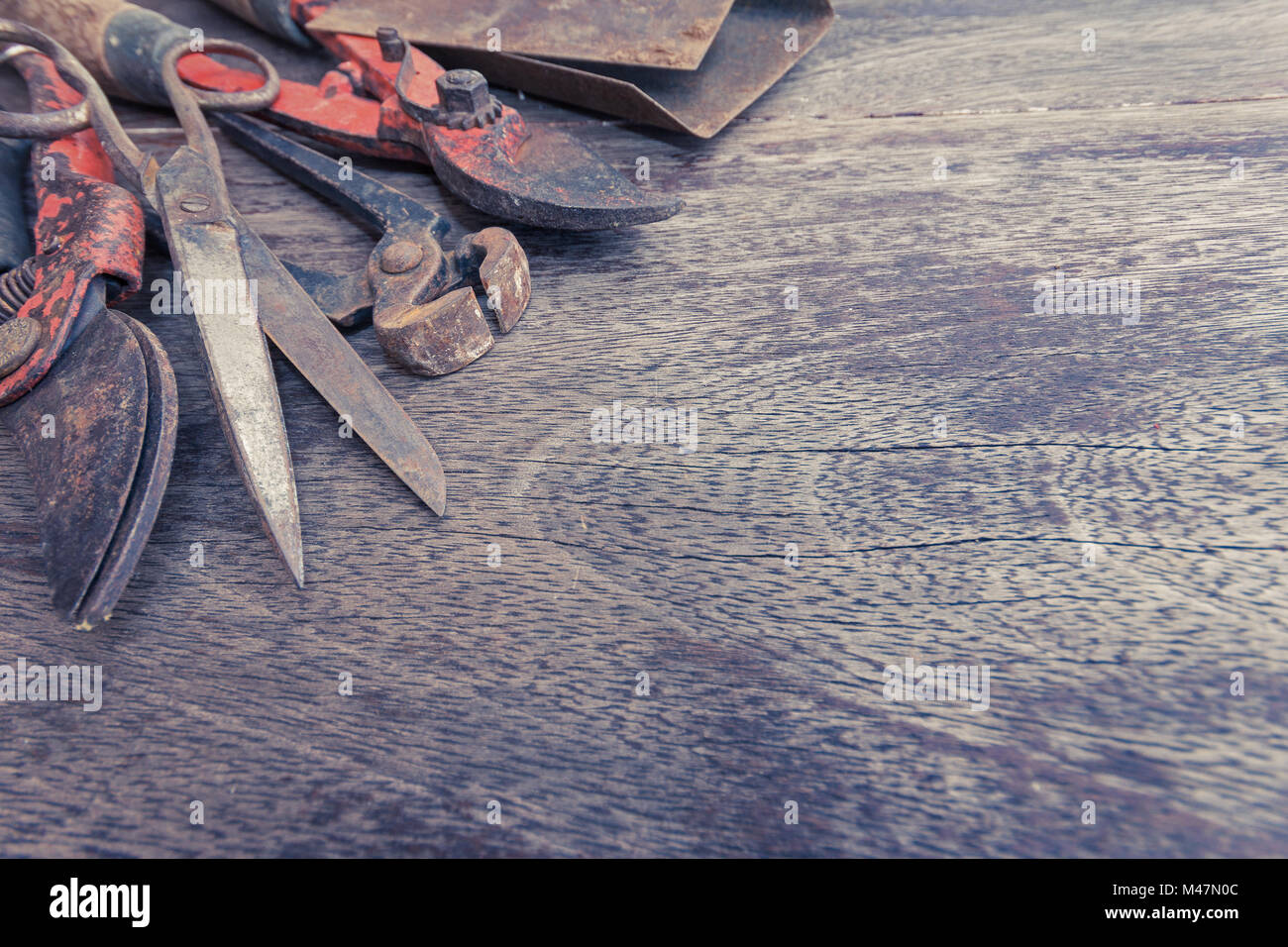 old tools - rusted gardening tools  on wood table Stock Photo
