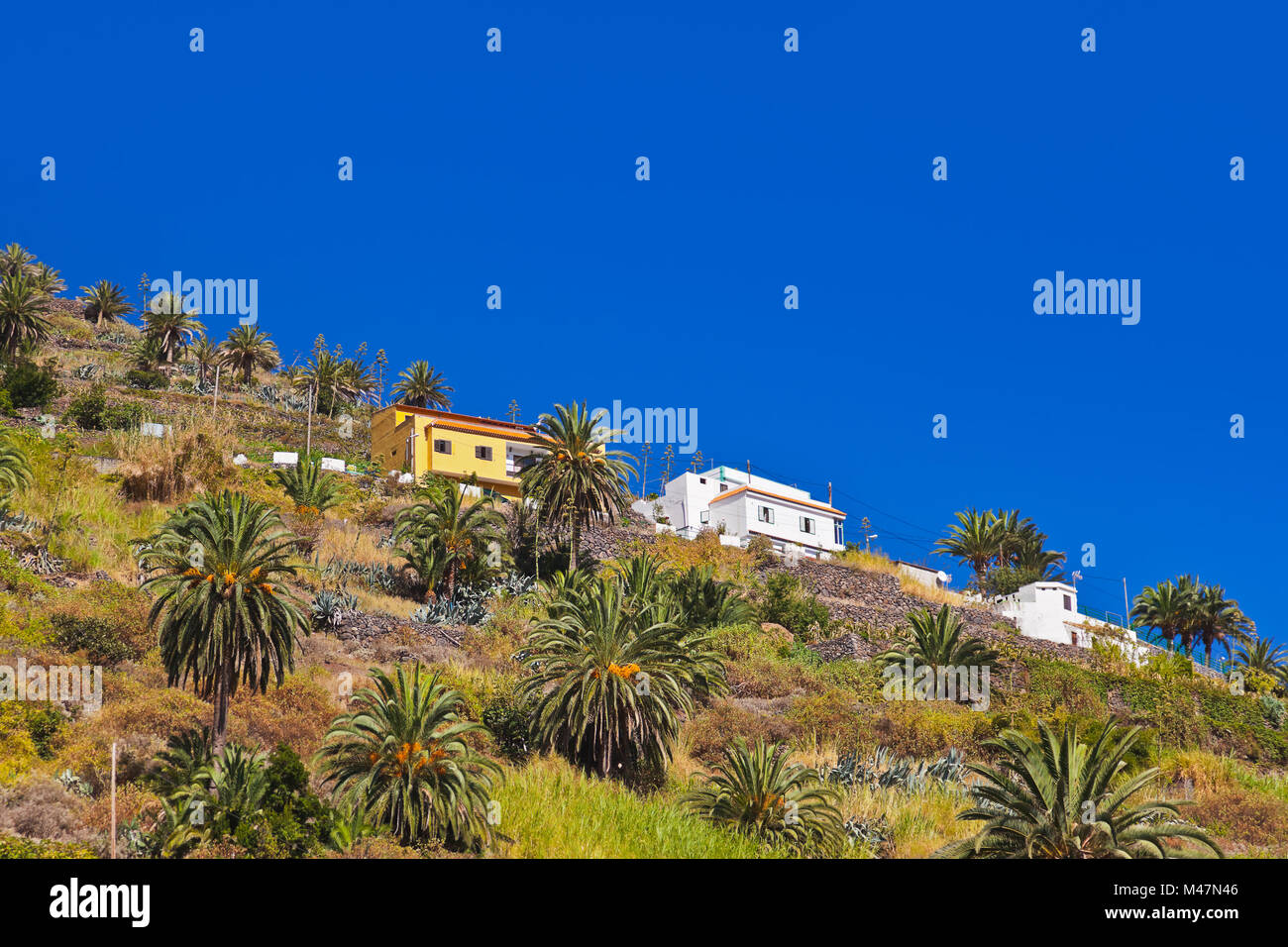Hermigua valley in La Gomera island - Canary Stock Photo