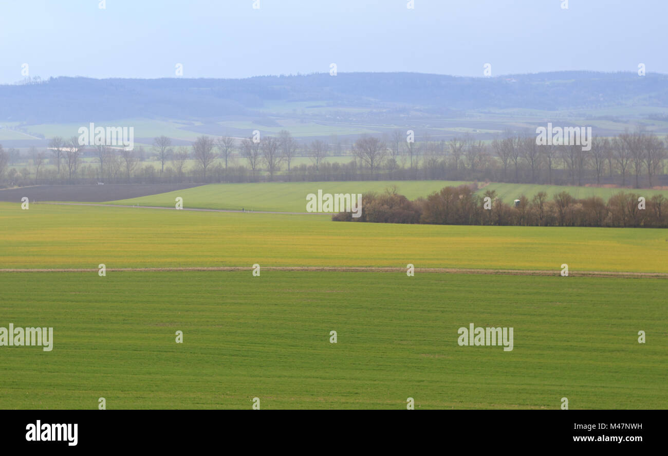 beautiful landscape with green fields and blue sky Stock Photo