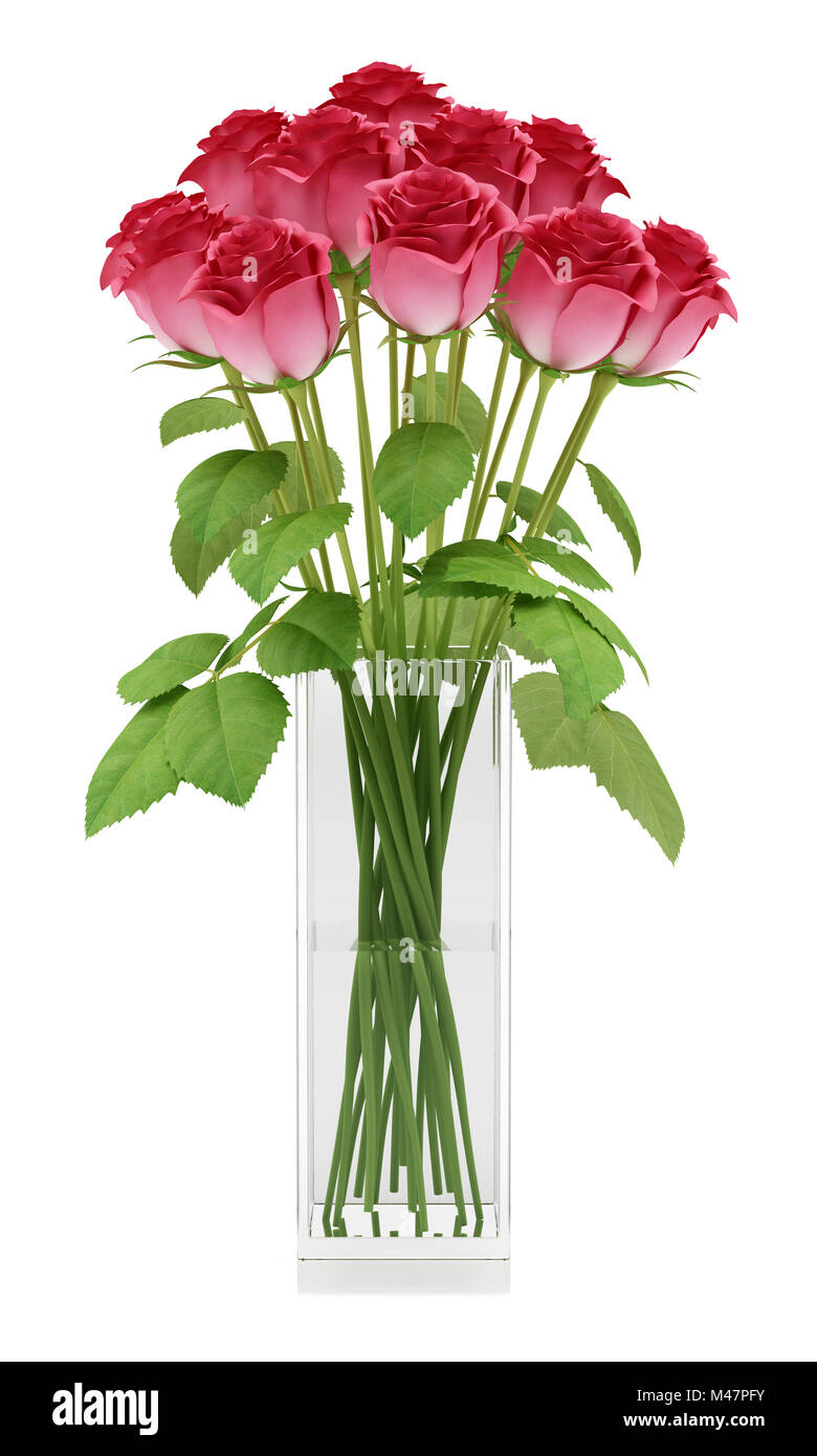 red roses in glass vase isolated on white background Stock Photo Alamy