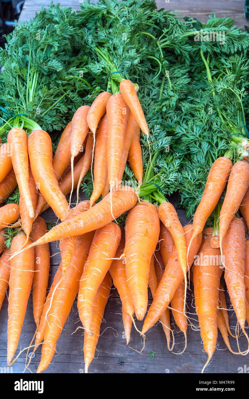 Carrots with leaves for sale at a market Stock Photo Alamy