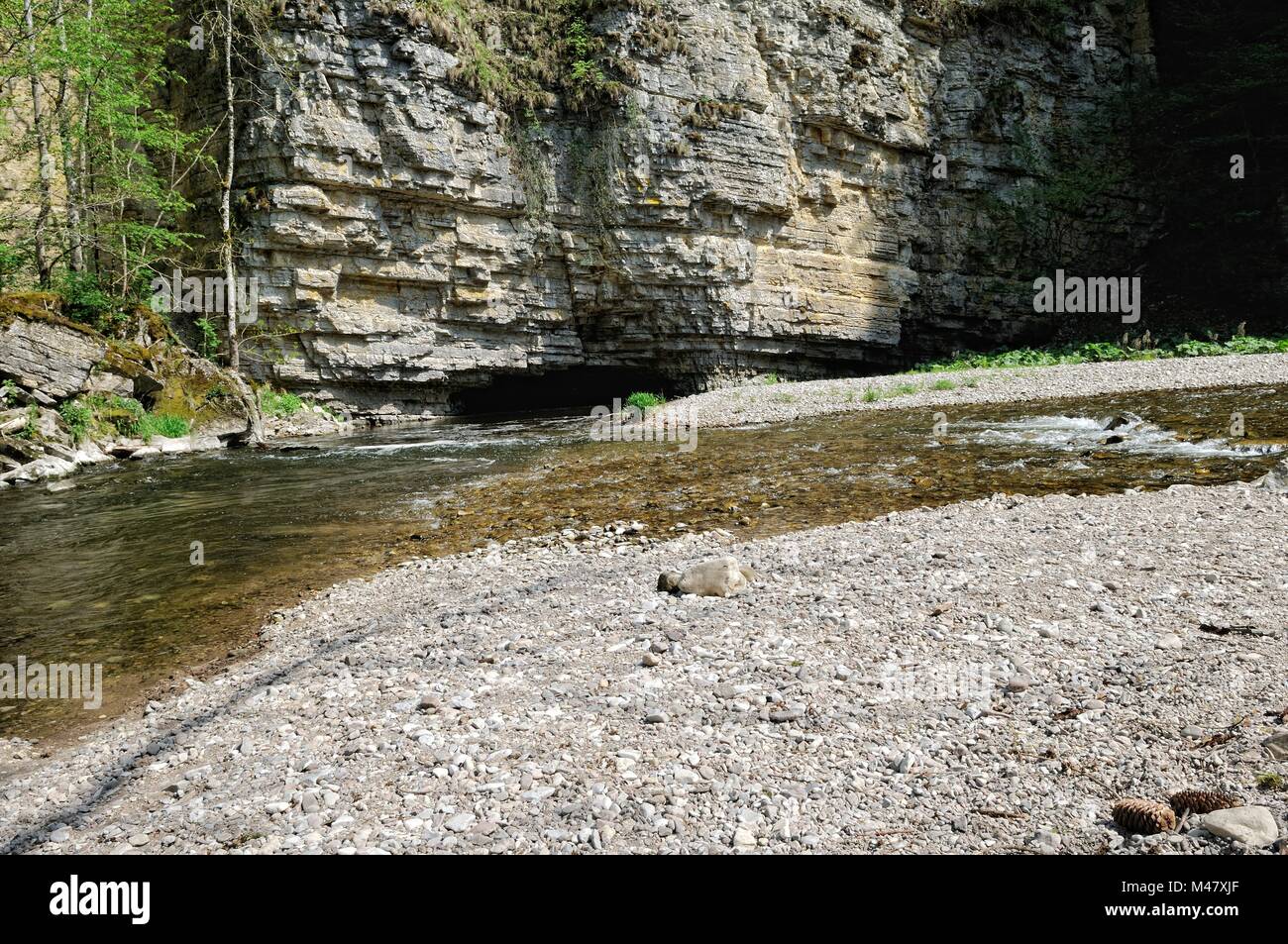 Shell lime wall in the Wutach gorge Schwarzwald Germany Stock Photo
