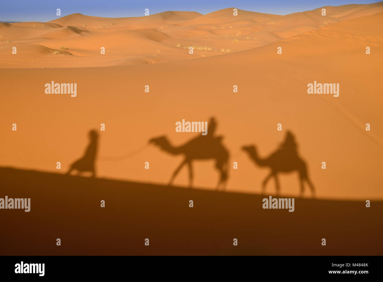 Camel shadows on Sahara Desert sand in Morocco. Stock Photo
