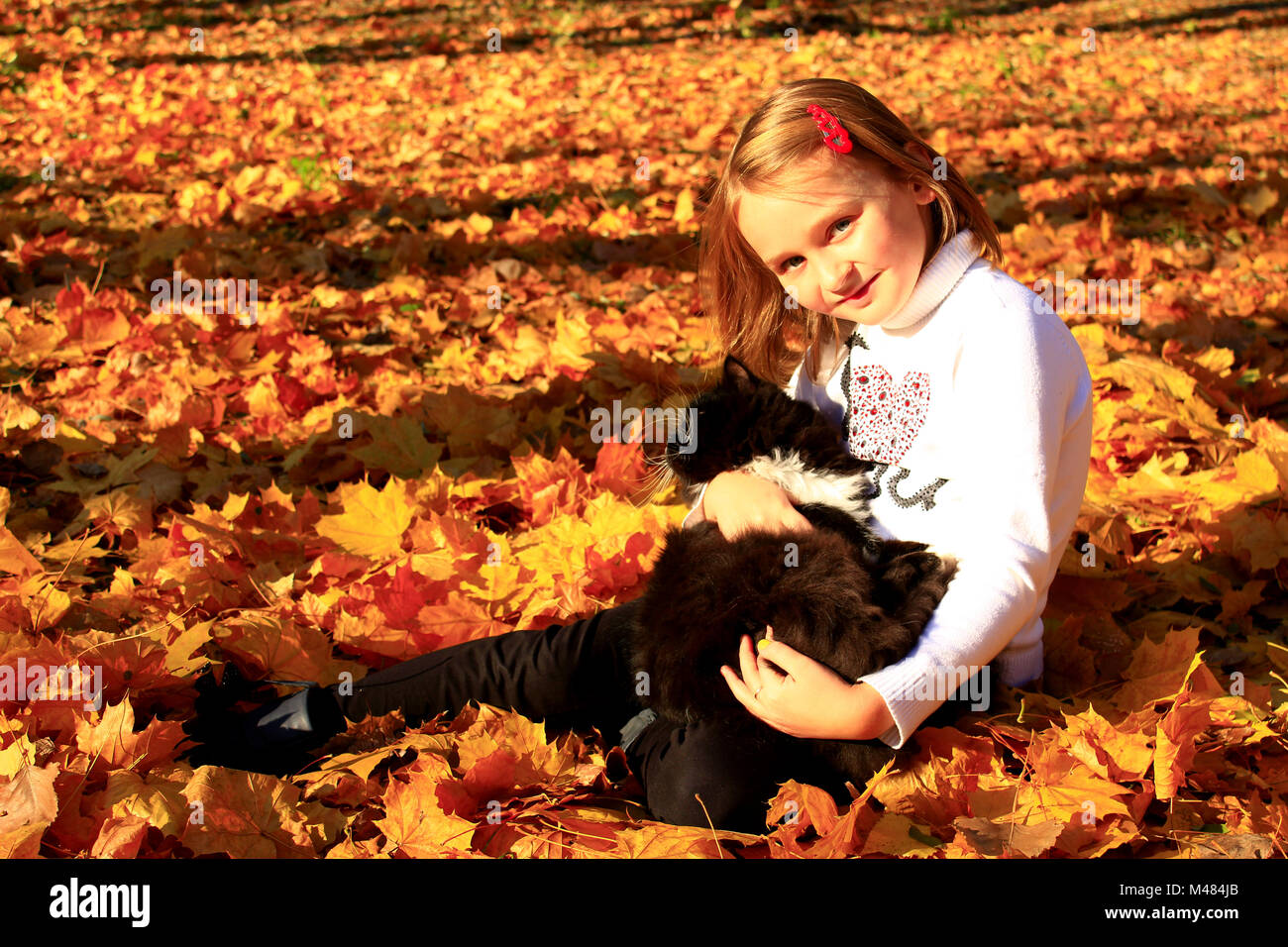 little girl plays with her cat in the autumn park Stock Photo - Alamy