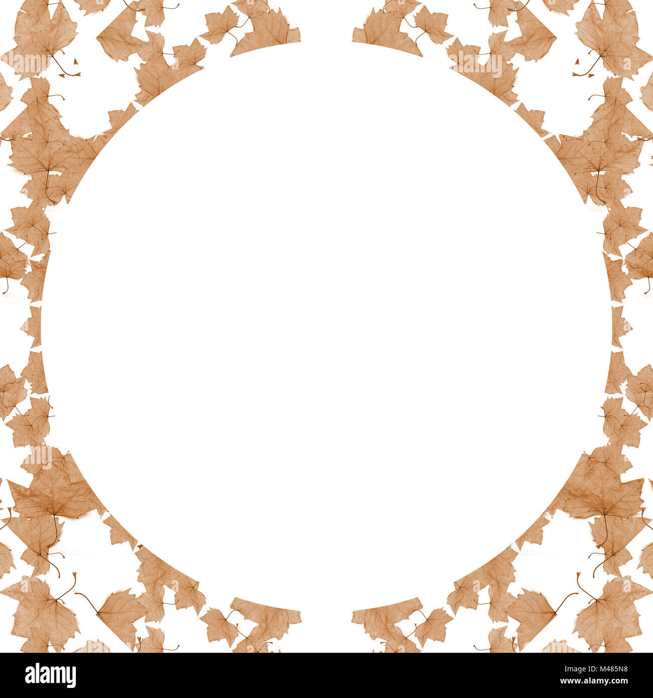 White Background Frame with Round Decorated Borders Stock Photo