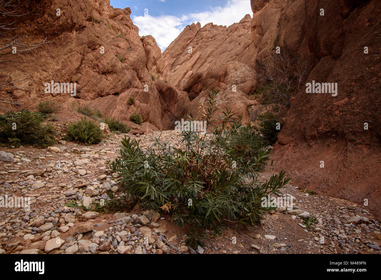 Scenic landscape in Dades Gorges, Atlas Mountains, Morocco Stock Photo