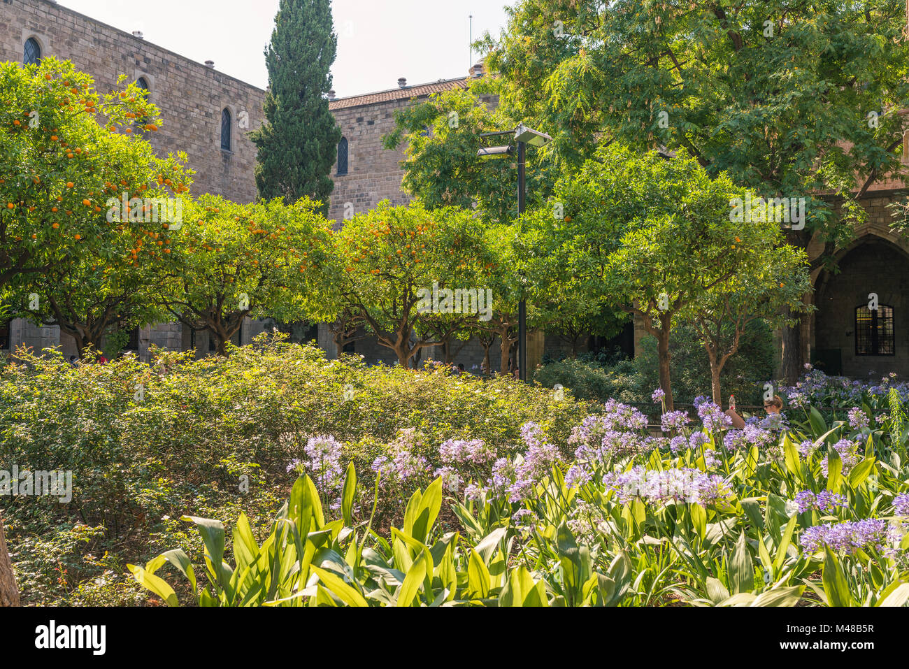 Backyard of the National Library of Catalonia Stock Photo