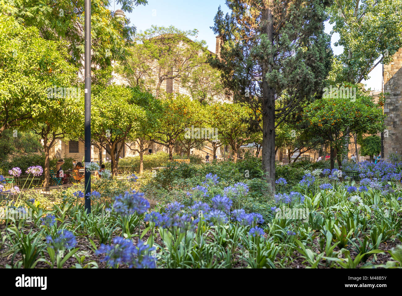 Backyard of the National Library of Catalonia Stock Photo