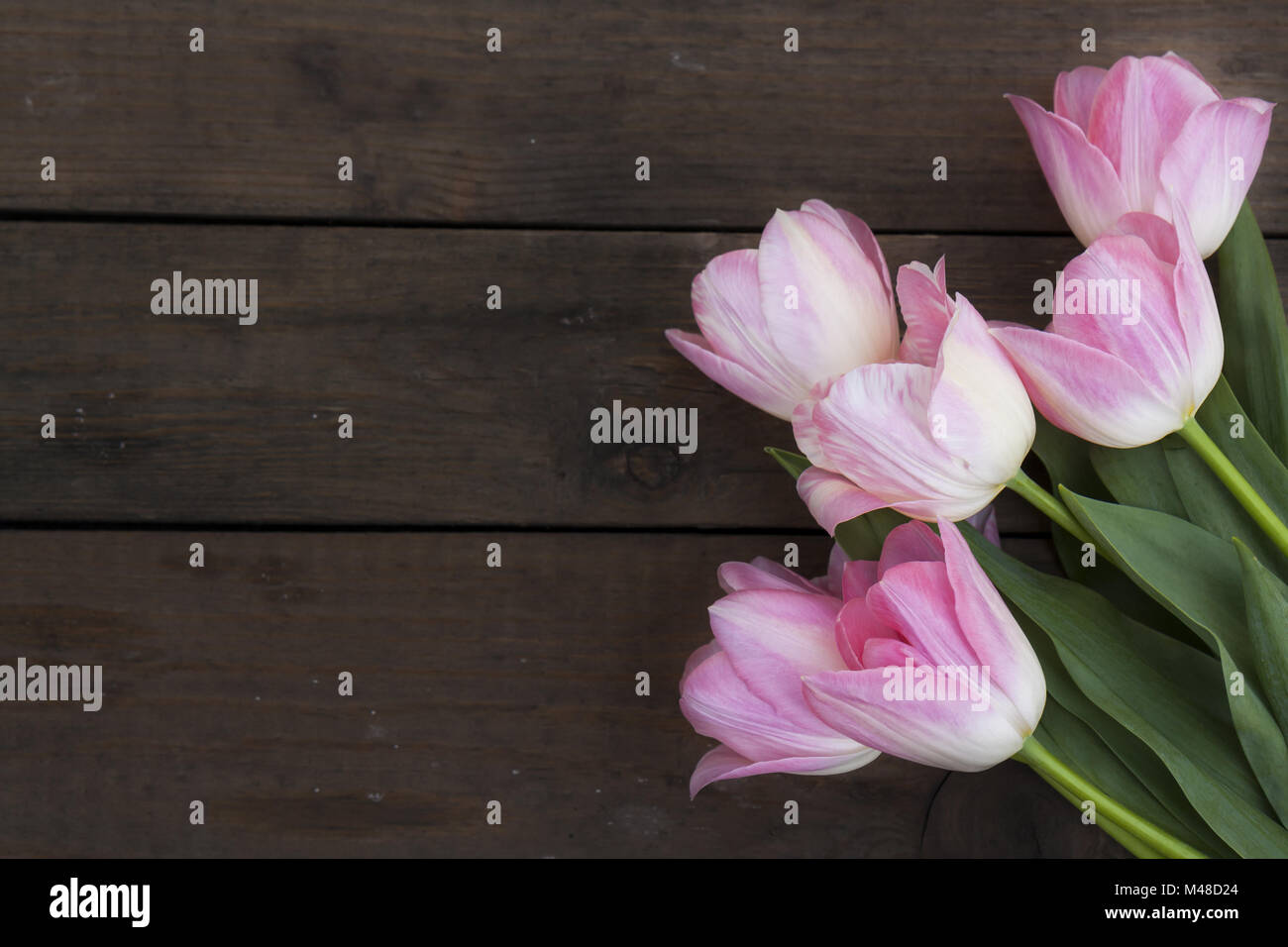 Beautiful bouquet of pink tulips on dark wooden background Stock Photo ...