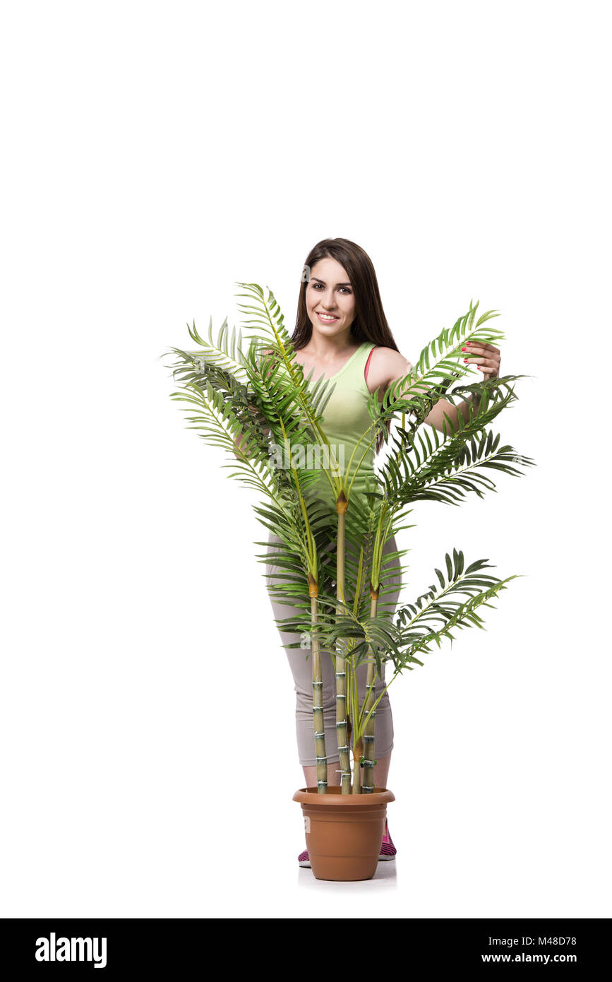 Taking care of the environment Cut Out Stock Images Pictures Alamy
