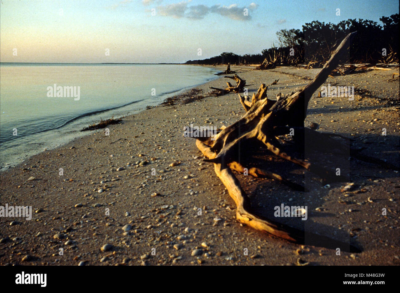 Cape Sable Stock Photo - Alamy