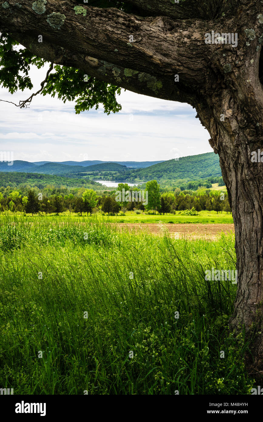 Field Lakeville, Connecticut, USA Stock Photo Alamy