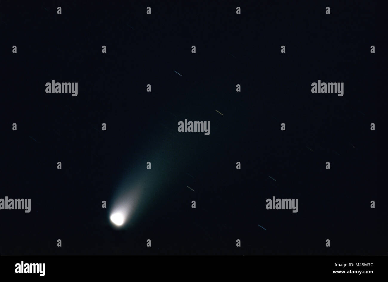 Comet Hale-Bopp in the night sky / Schleswig Holstein 1997 Stock Photo