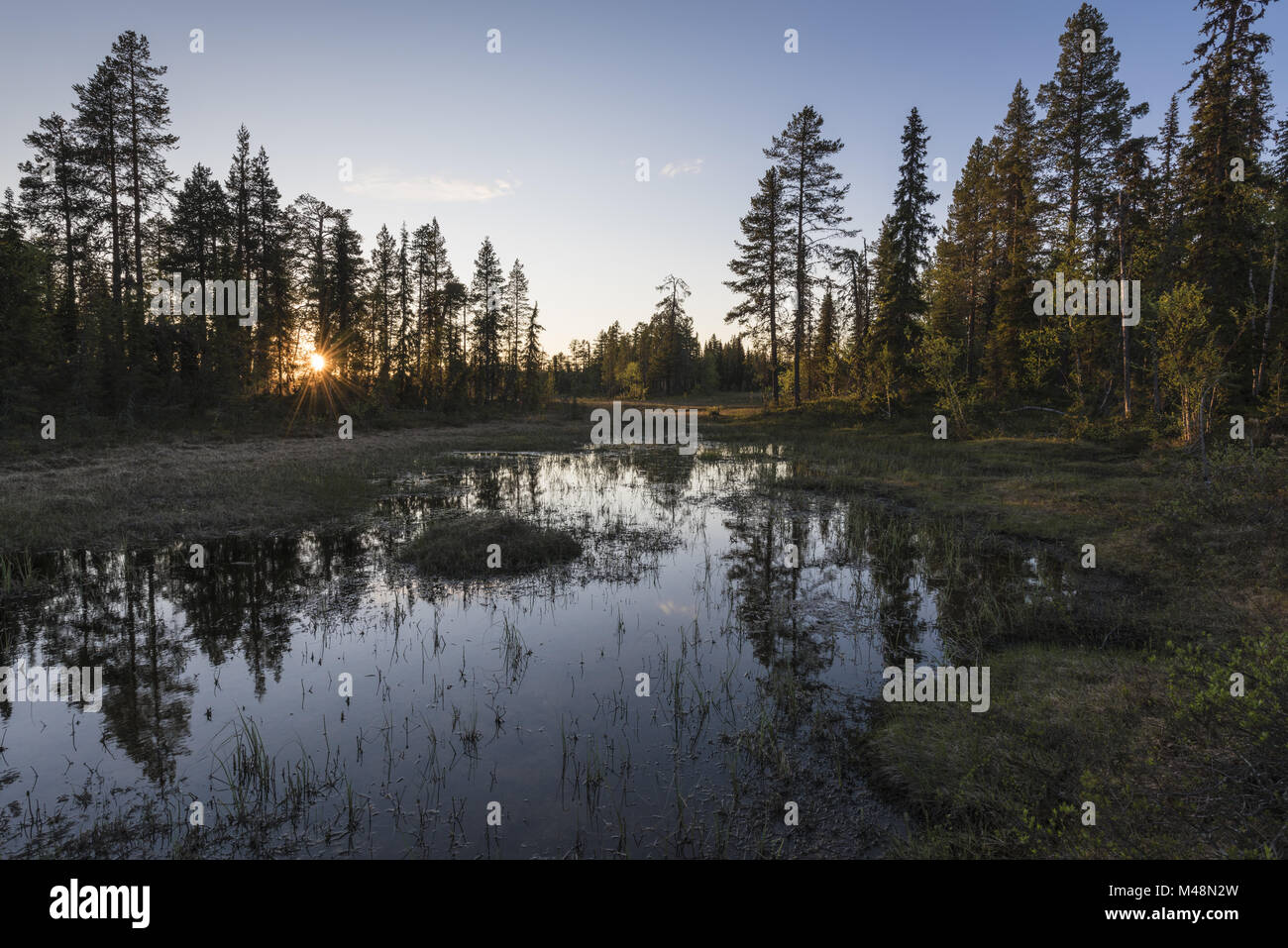evening mood, Muddus National park, Lapland, Sweden Stock Photo