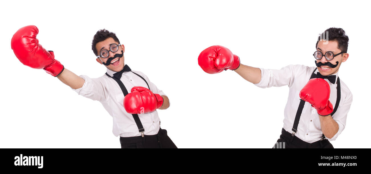 The funny boxer isolated on the white background Stock Photo - Alamy
