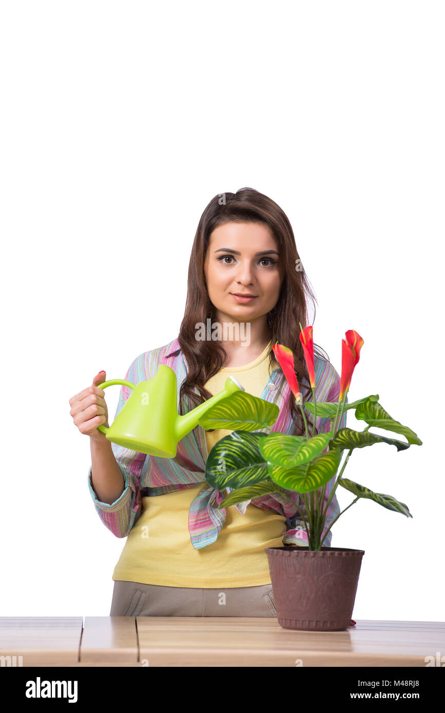 Woman taking care of plants isolated on white Stock Photo Alamy