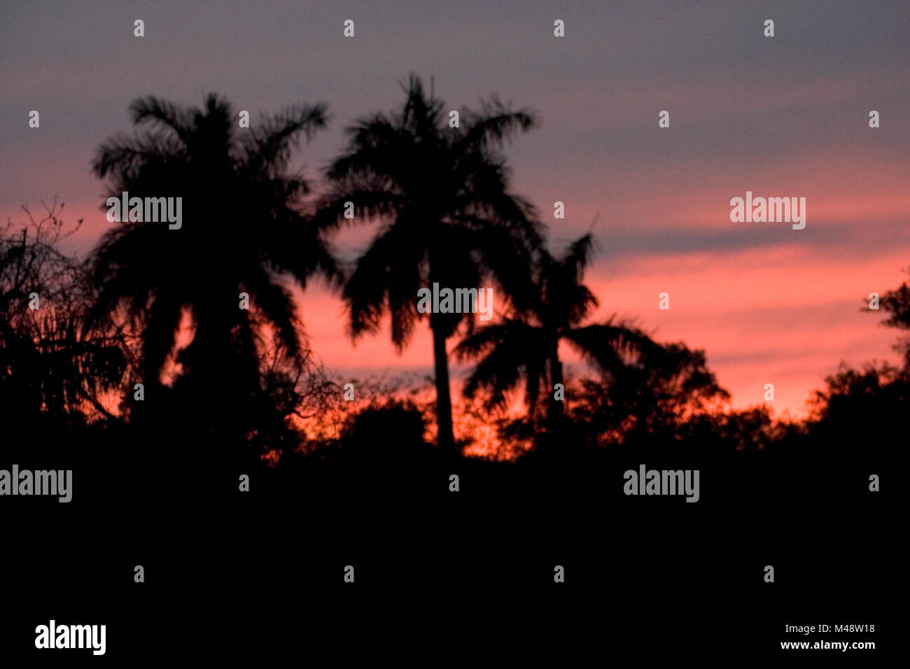 Sunrise Stock Photo - Alamy