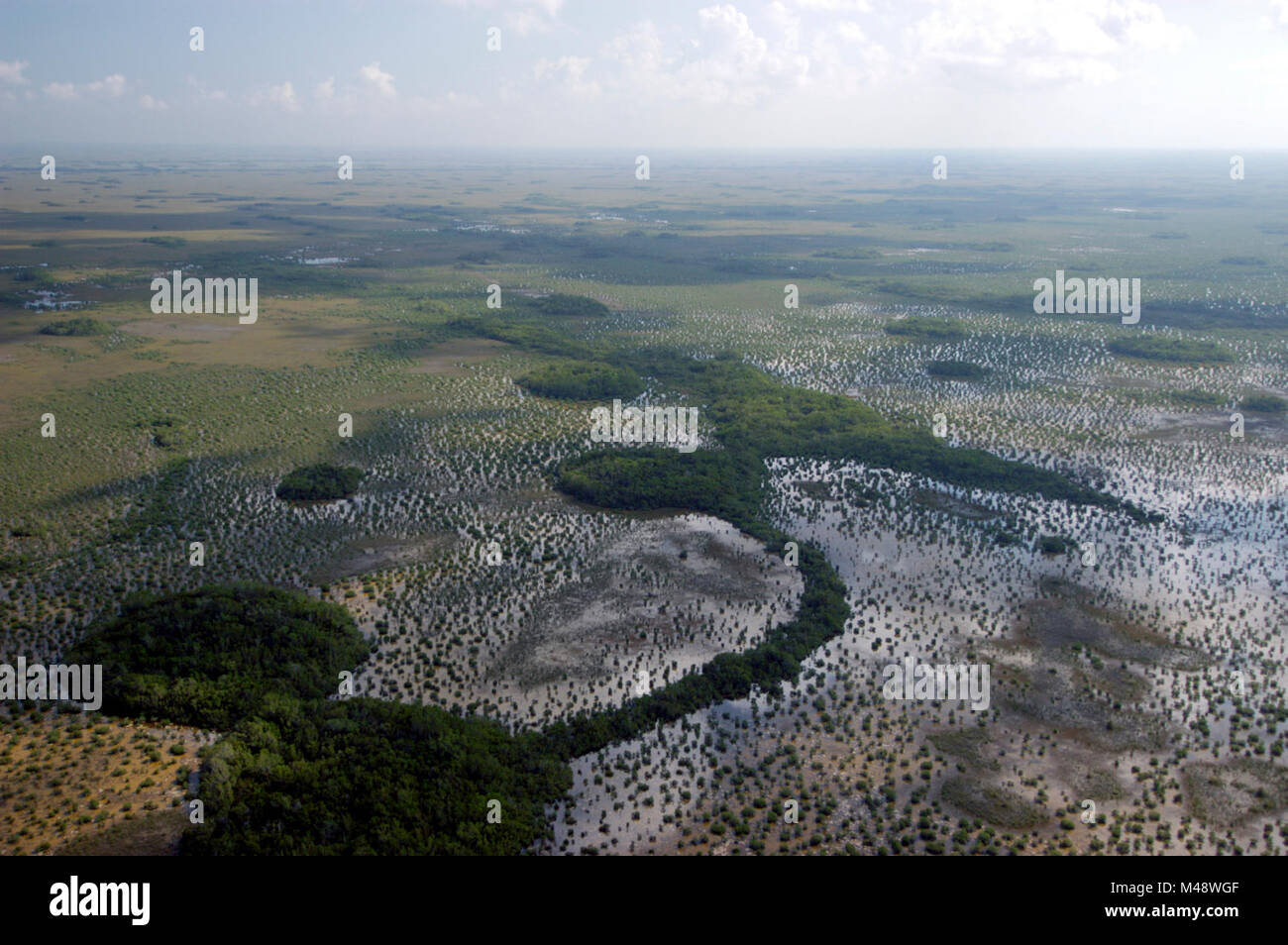 Transition from Sawgrass to Coastal Habitat Stock Photo Alamy