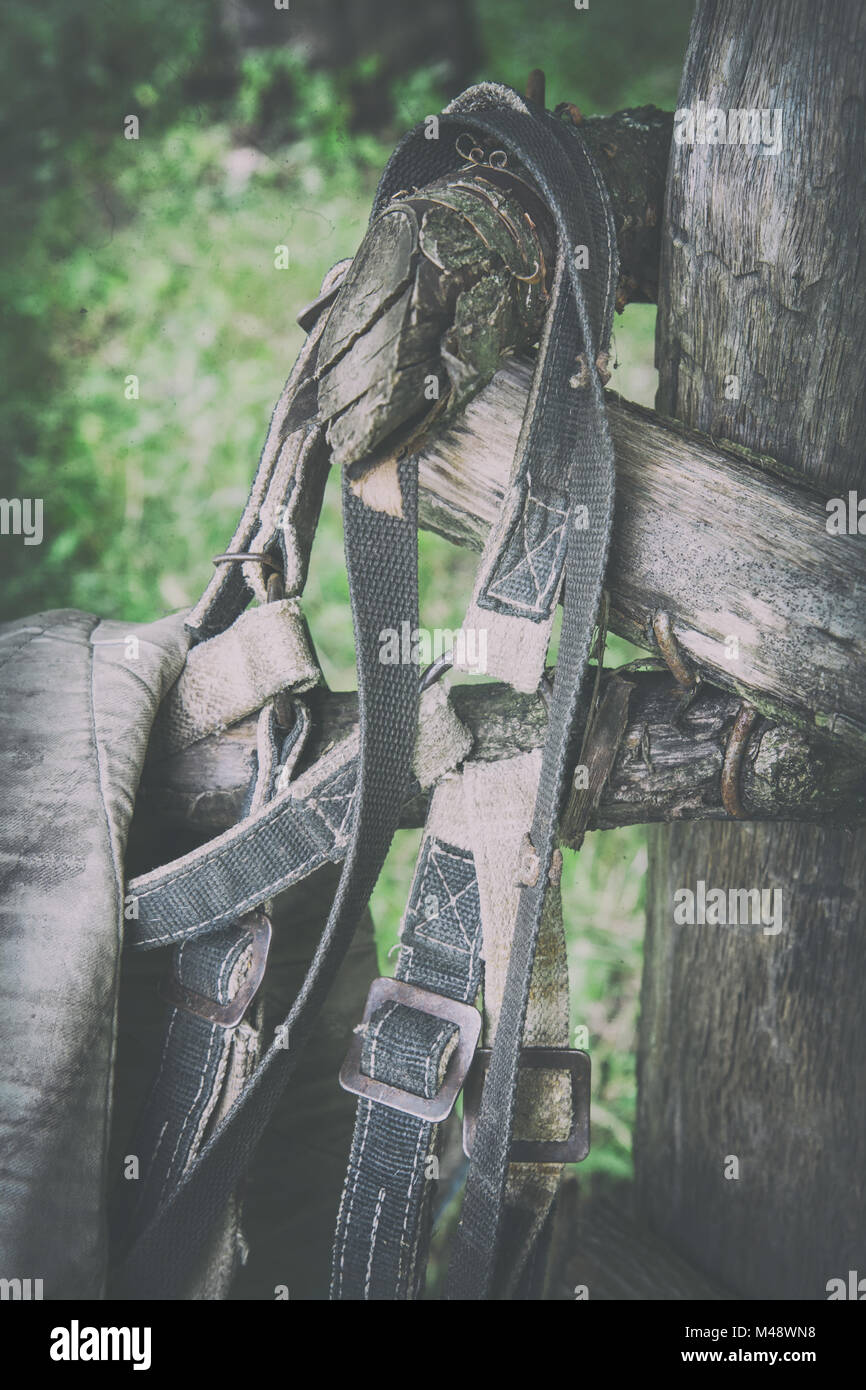 Old horse harness hi-res stock photography and images - Alamy