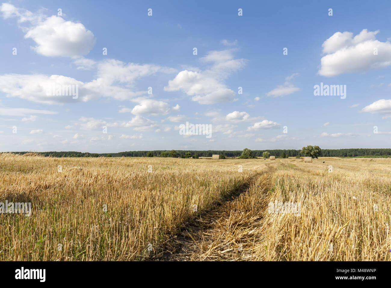 Straw bales in fields farmland with blue cloudy sky Stock Photo - Alamy