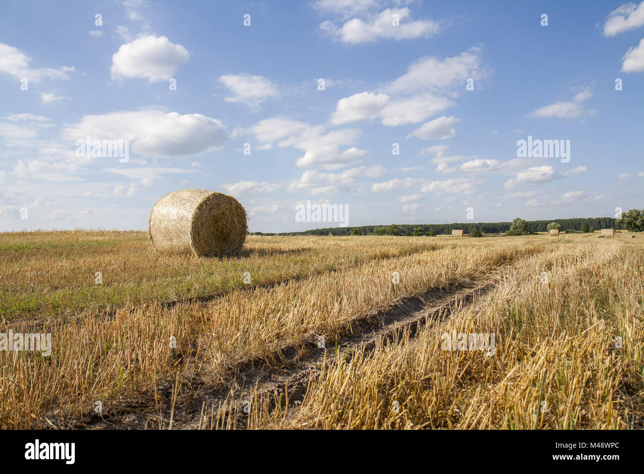 Straw bales in fields farmland with blue cloudy sky Stock Photo - Alamy