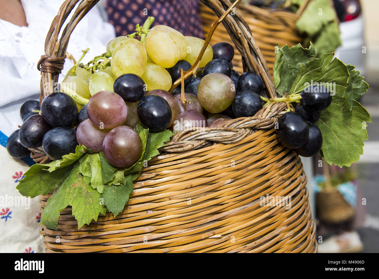 Italy grape harvest festival hi-res stock photography and images - Alamy