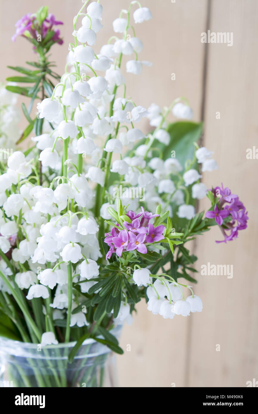 White lily of the valley on a light wooden table Stock Photo - Alamy