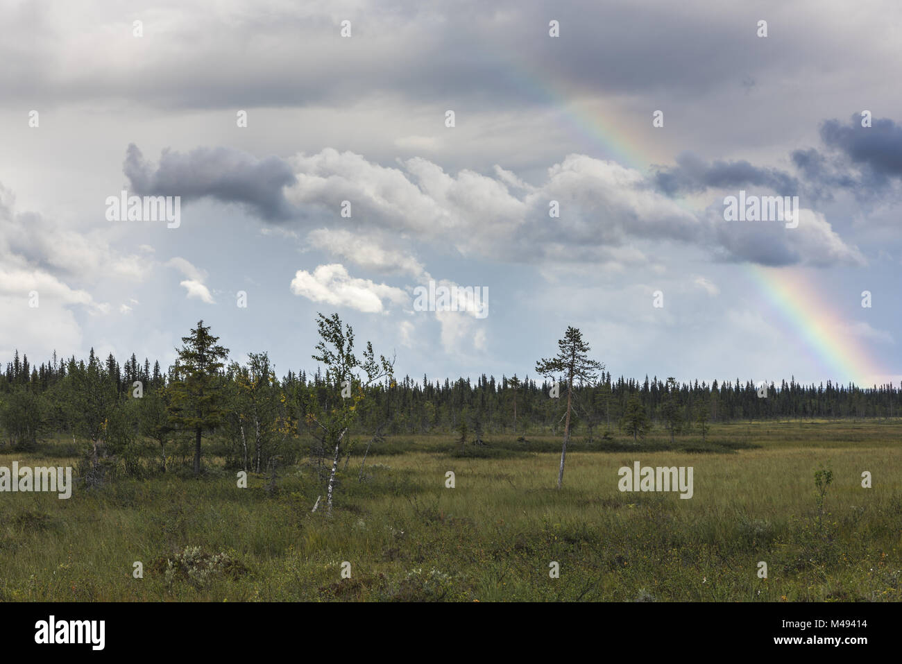 Rainbow, Muddus National park, Lapland, Sweden Stock Photo