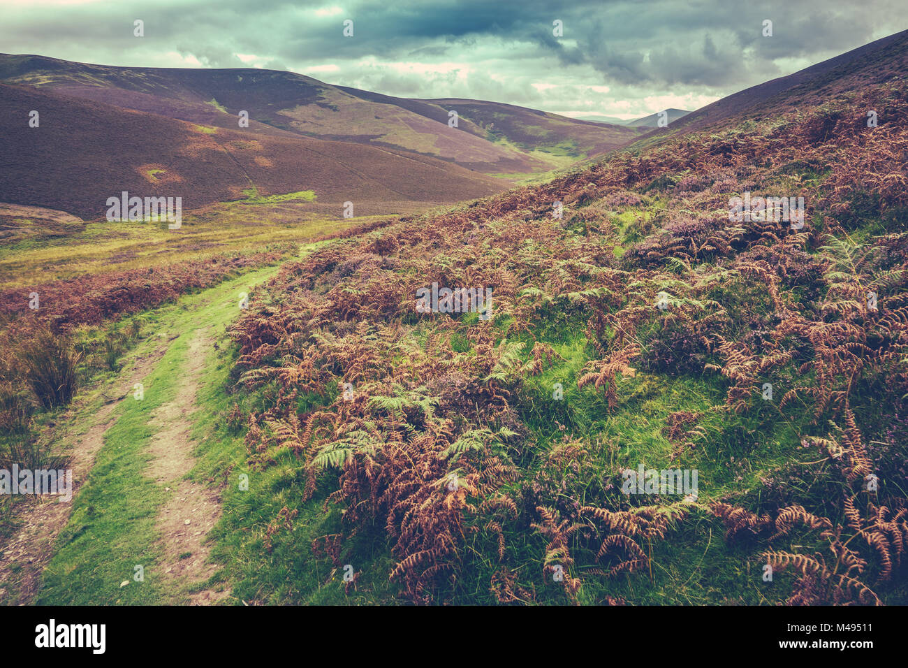 Scottish borders landscape hires stock photography and images Alamy