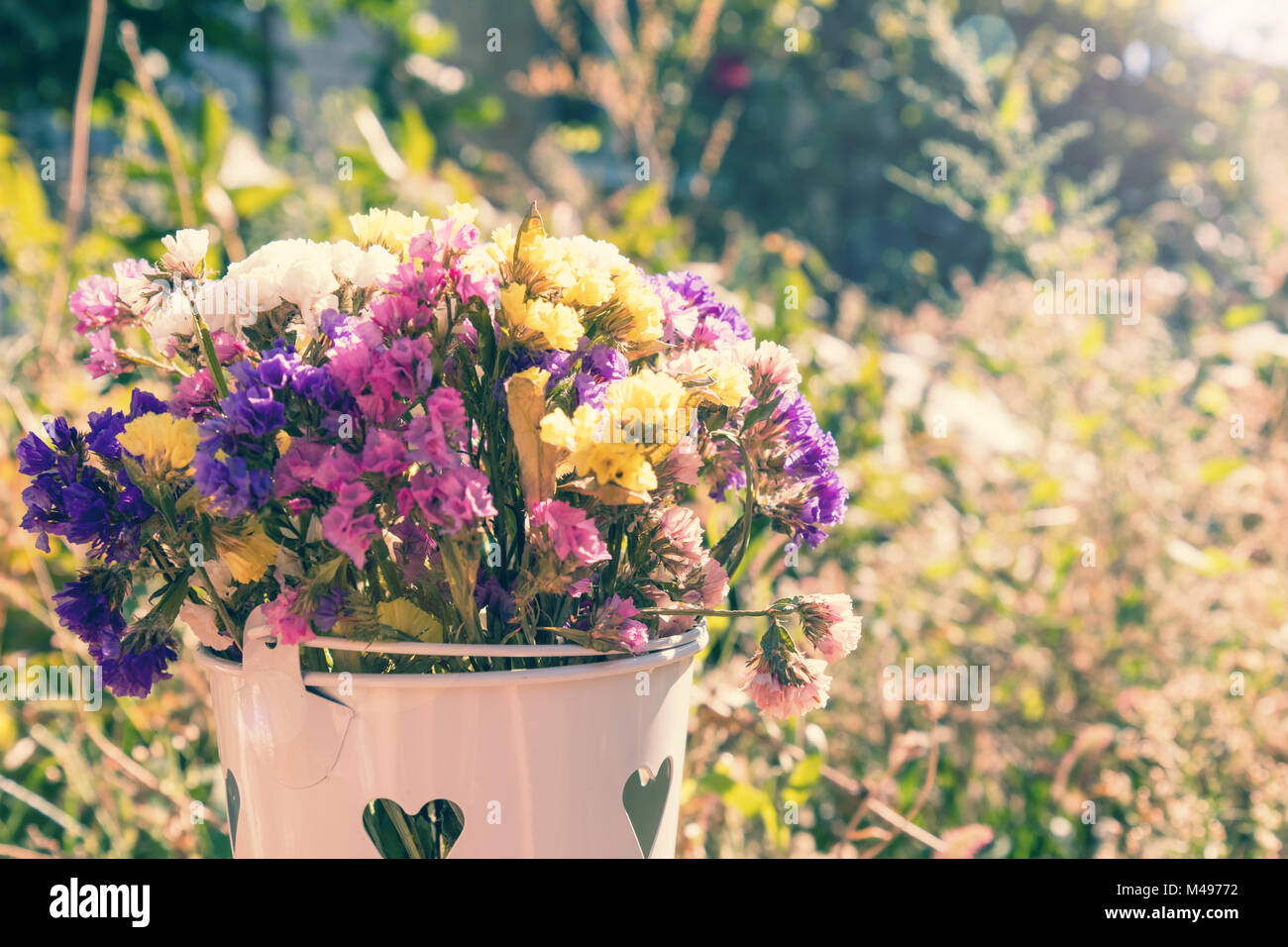Summer flowers colorful hi-res stock photography and images - Alamy