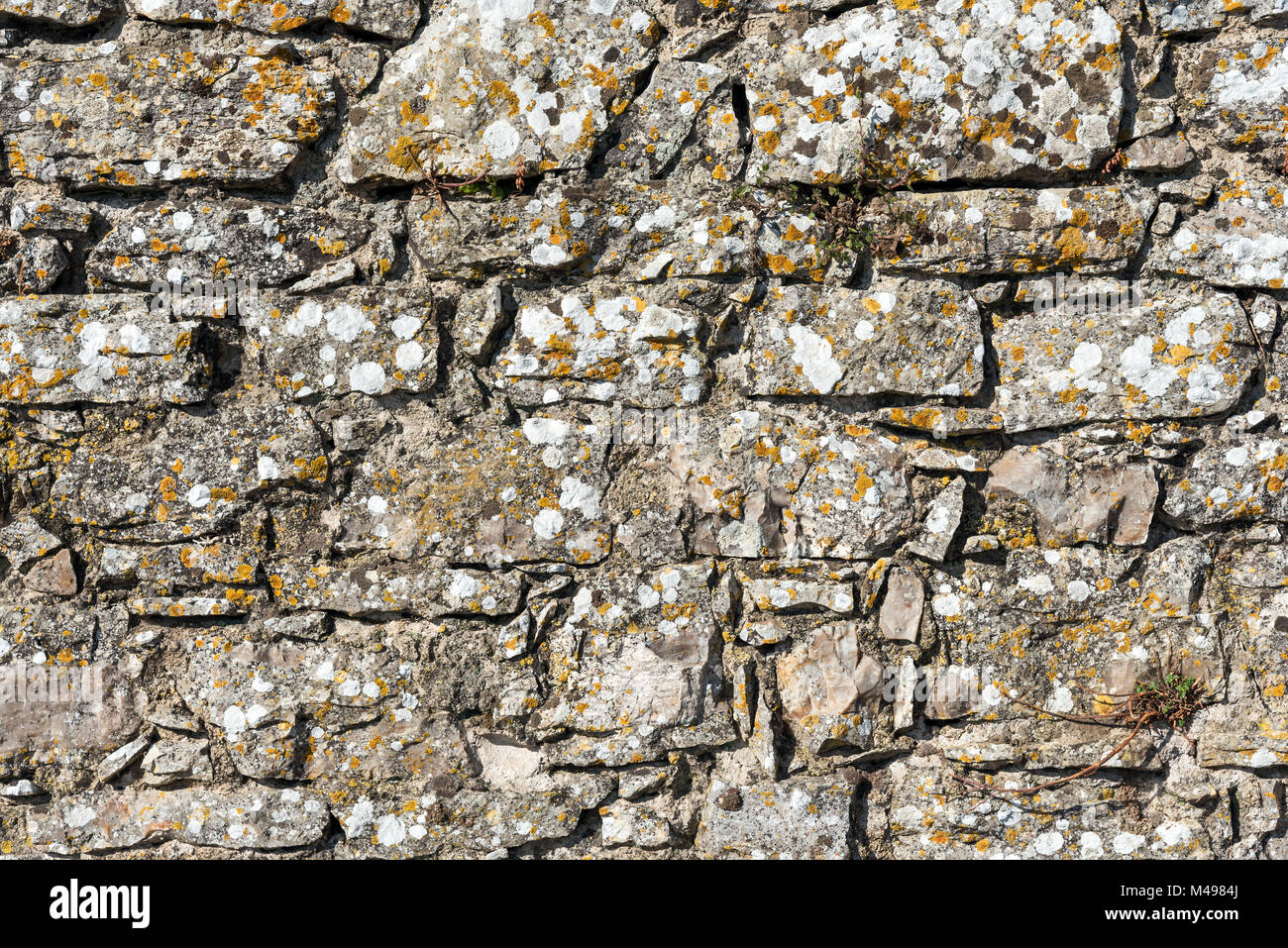 Rough wall hi-res stock photography and images - Alamy