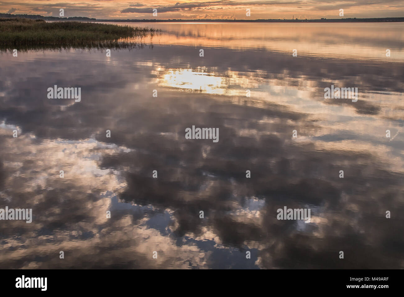 Sunrise in the Bodden (peninsula Fischland-Darss-Zingst, Born, Germany) Stock Photo