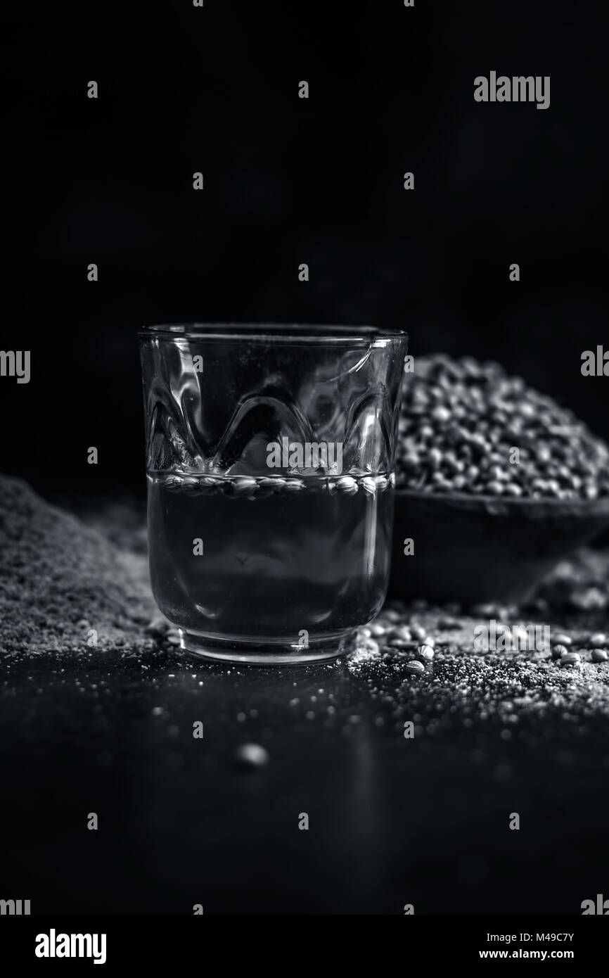 Close up of water of Coriandrum sativum,Coriander with its powder Stock