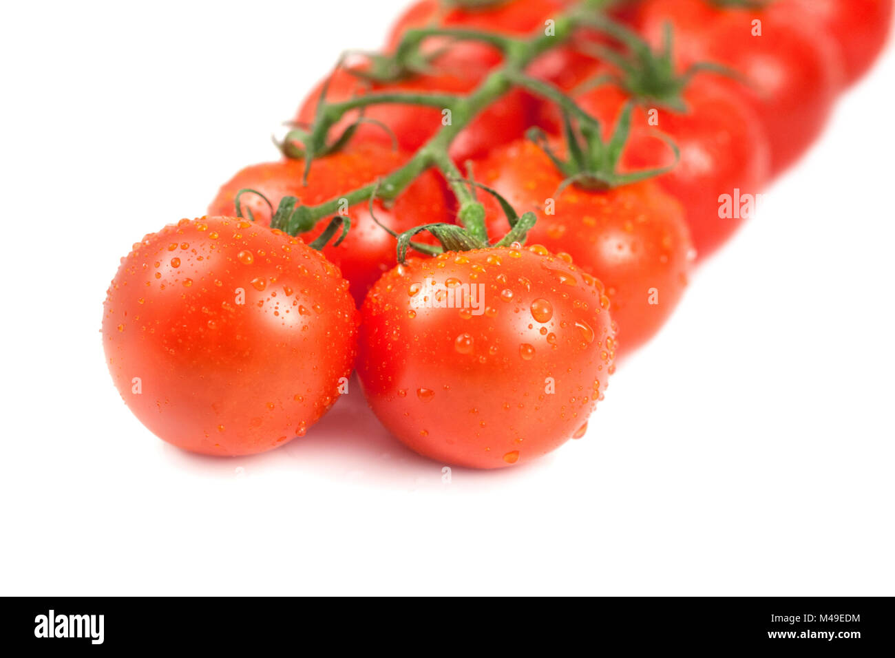 Bunch of fresh tomatoes with water drops, isolated on white background ...