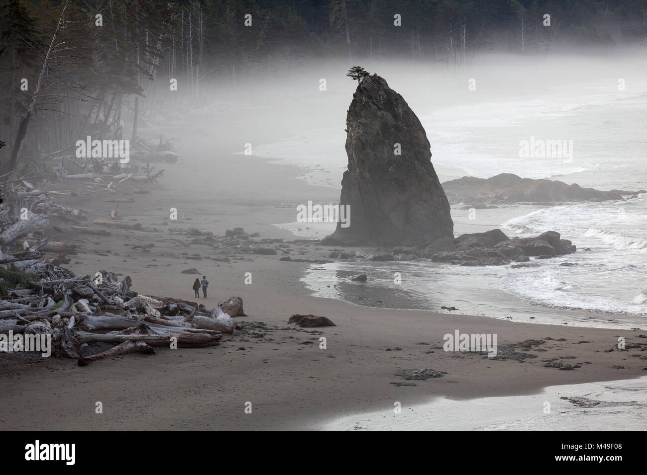 Rialto Beach near Hole-In-The-Wall. Olympic National Park, Washington, USA. August 2015. Stock Photo